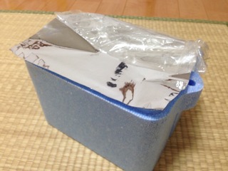 挿し芽BOX!!
