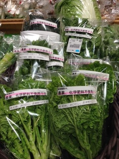 冬作野菜、ささやかに販売開始!